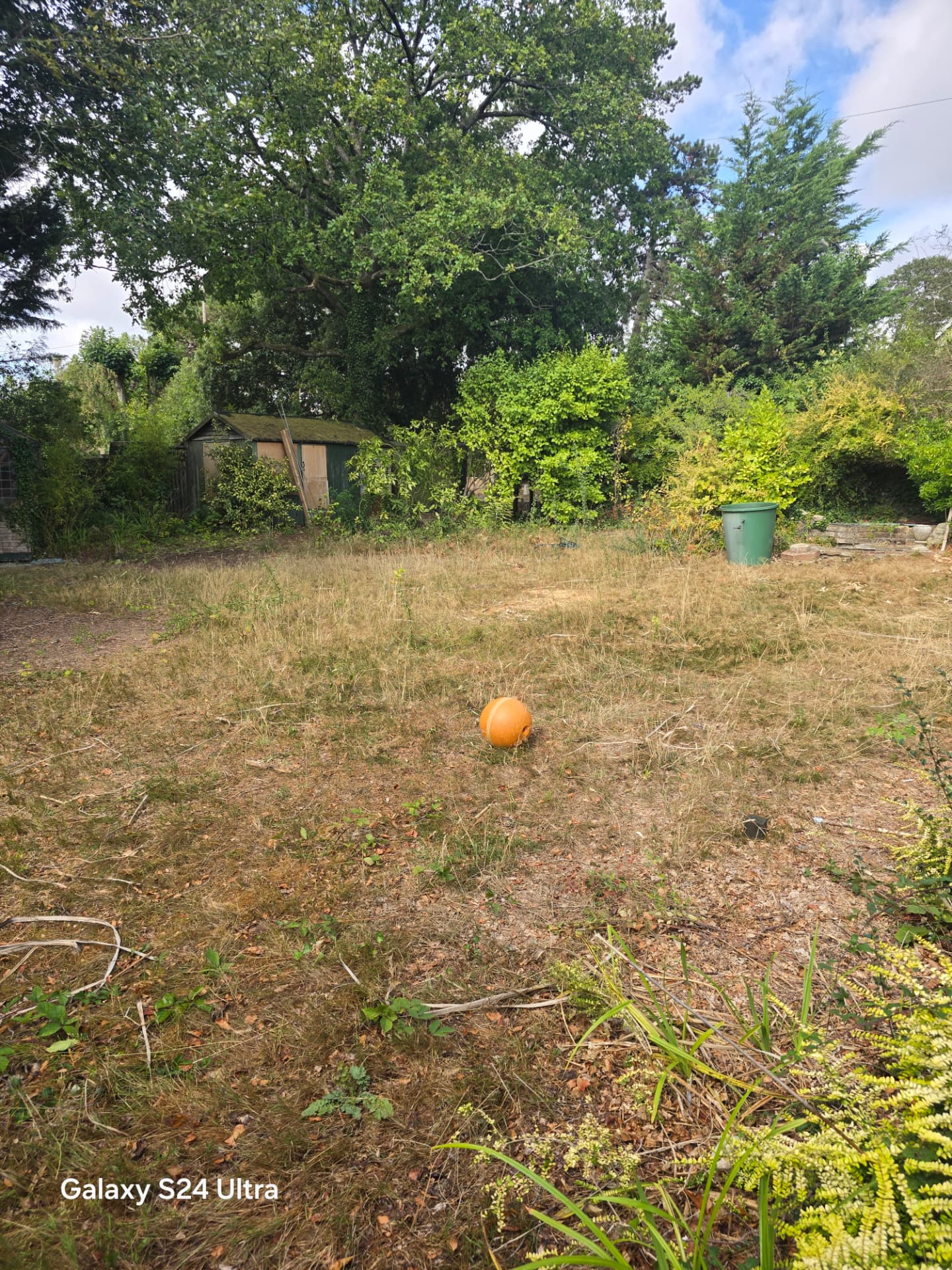 Excavation and site clearance project in Worthing — cleared garden and site preparation